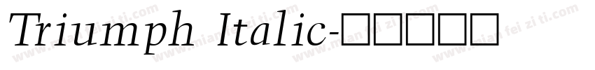 Triumph Italic字体转换